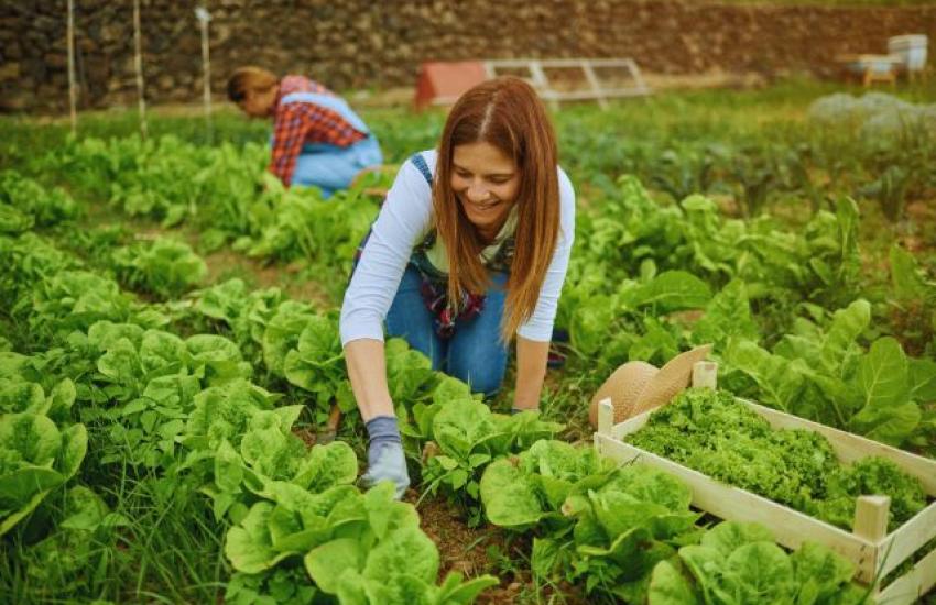 Agroindustrial